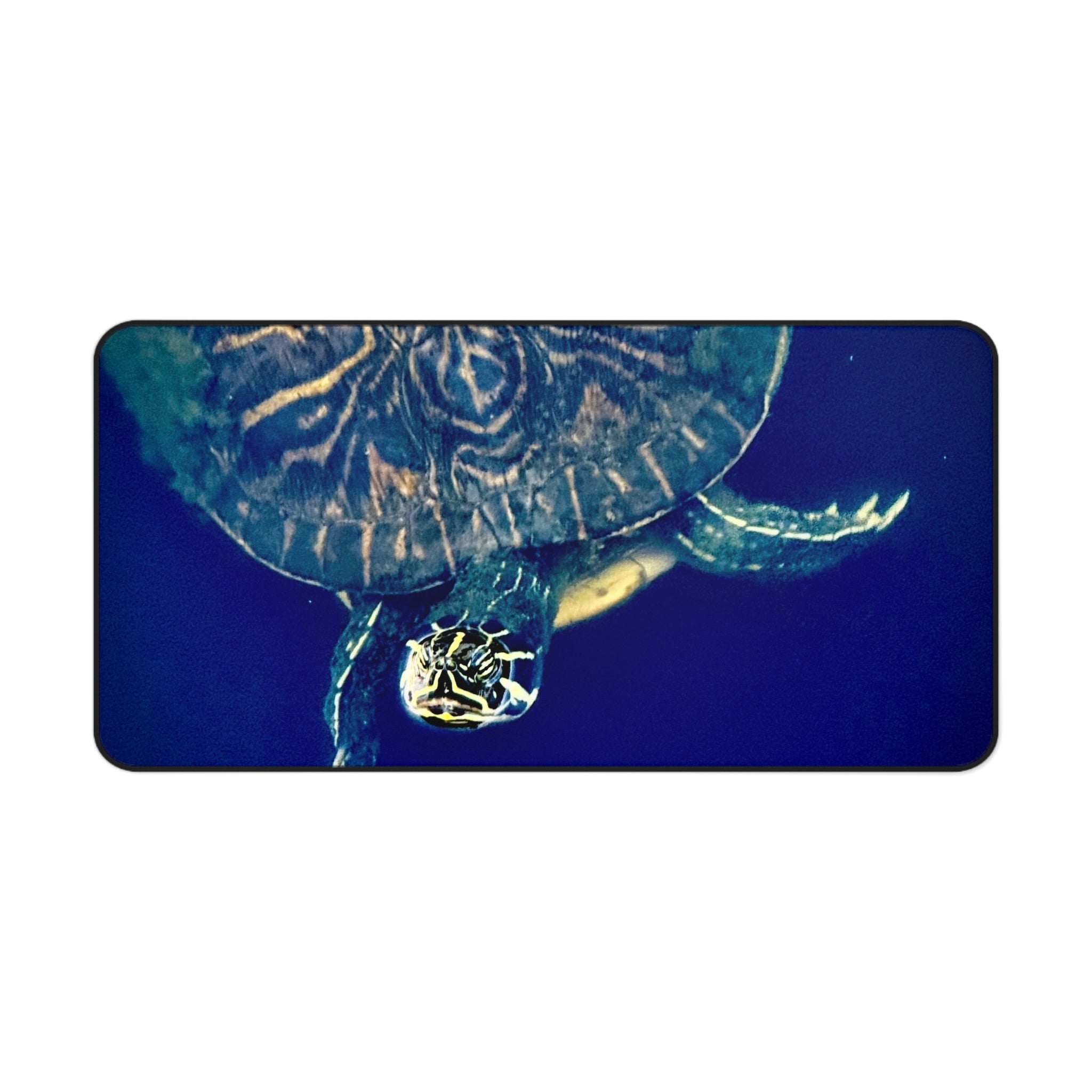 "Curious Turtle" Desk Mat