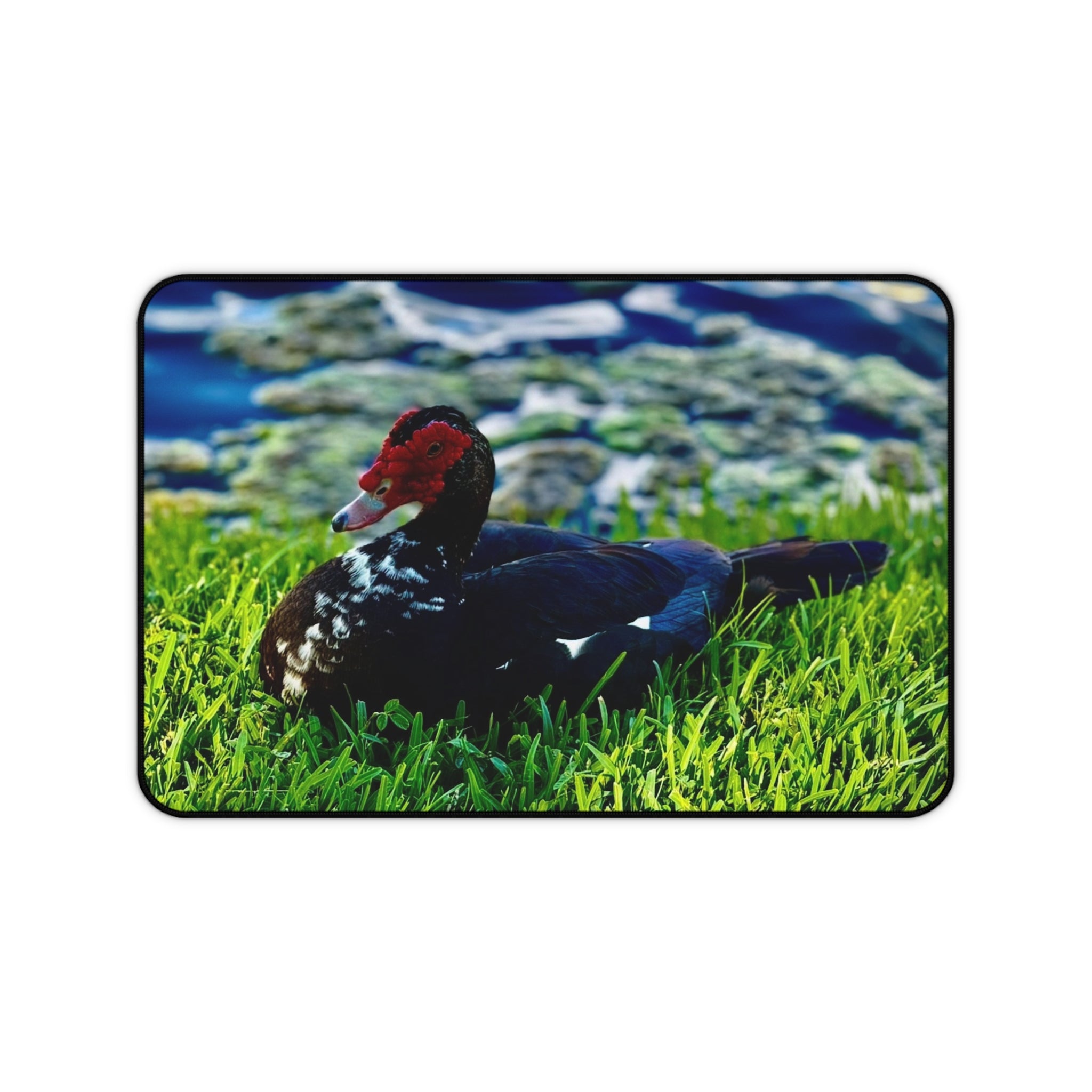 "Morning By The Shore" Desk Mat